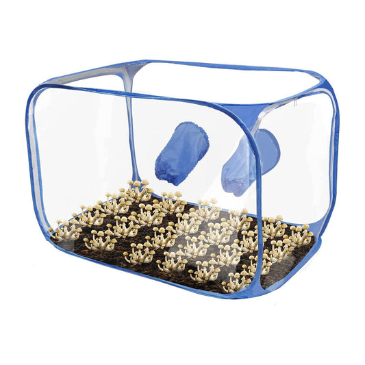 Portable Mushroom Grow Tent Kit