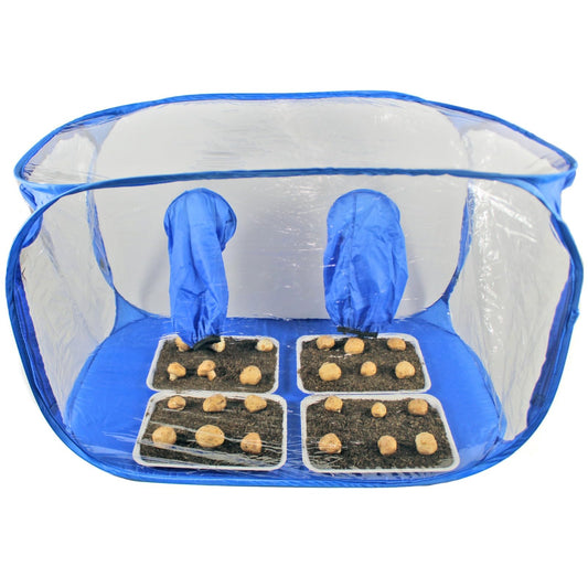 Portable Mushroom Growing Tent