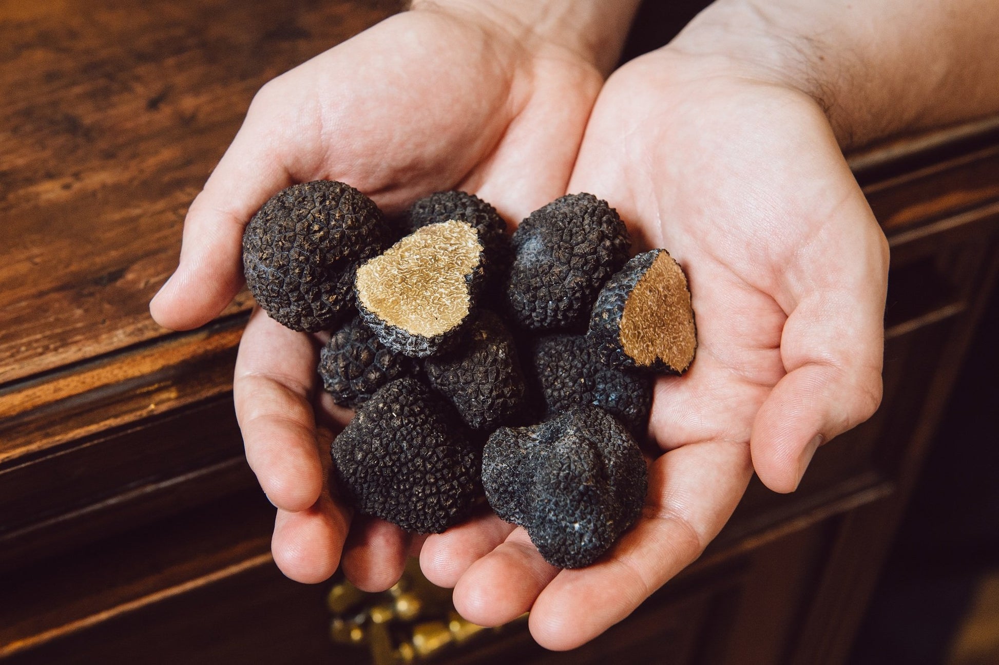 Hands holding black truffles with a wooden surface in the background