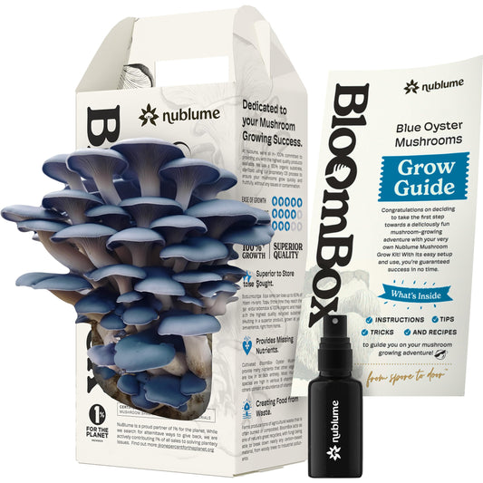 Nublume BloomBox mushroom growing kit with mushrooms, grow guide, and spray bottle on a white background