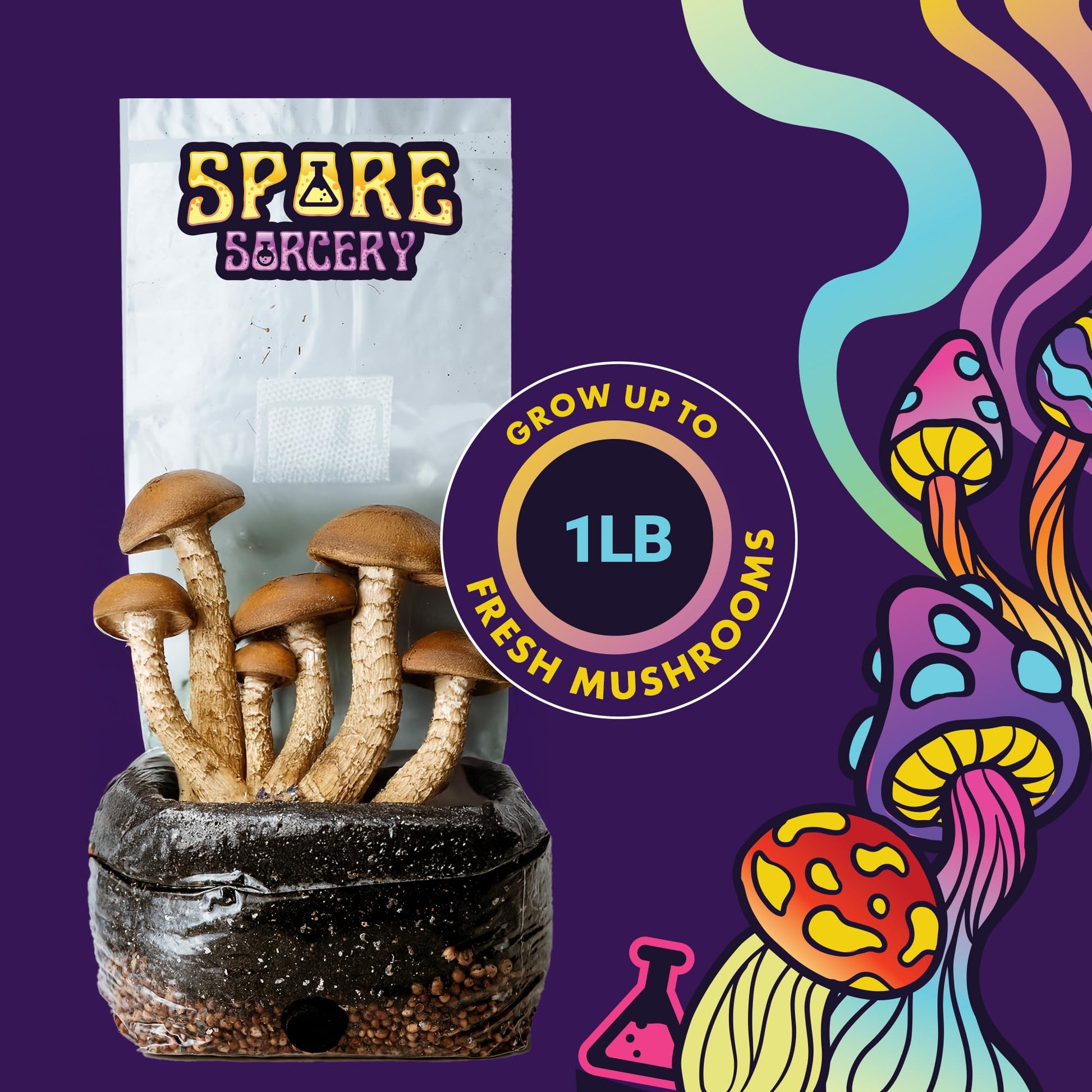Mushroom growing kit with 'Spore Sorcery' packaging on a purple background with mushroom illustrations.