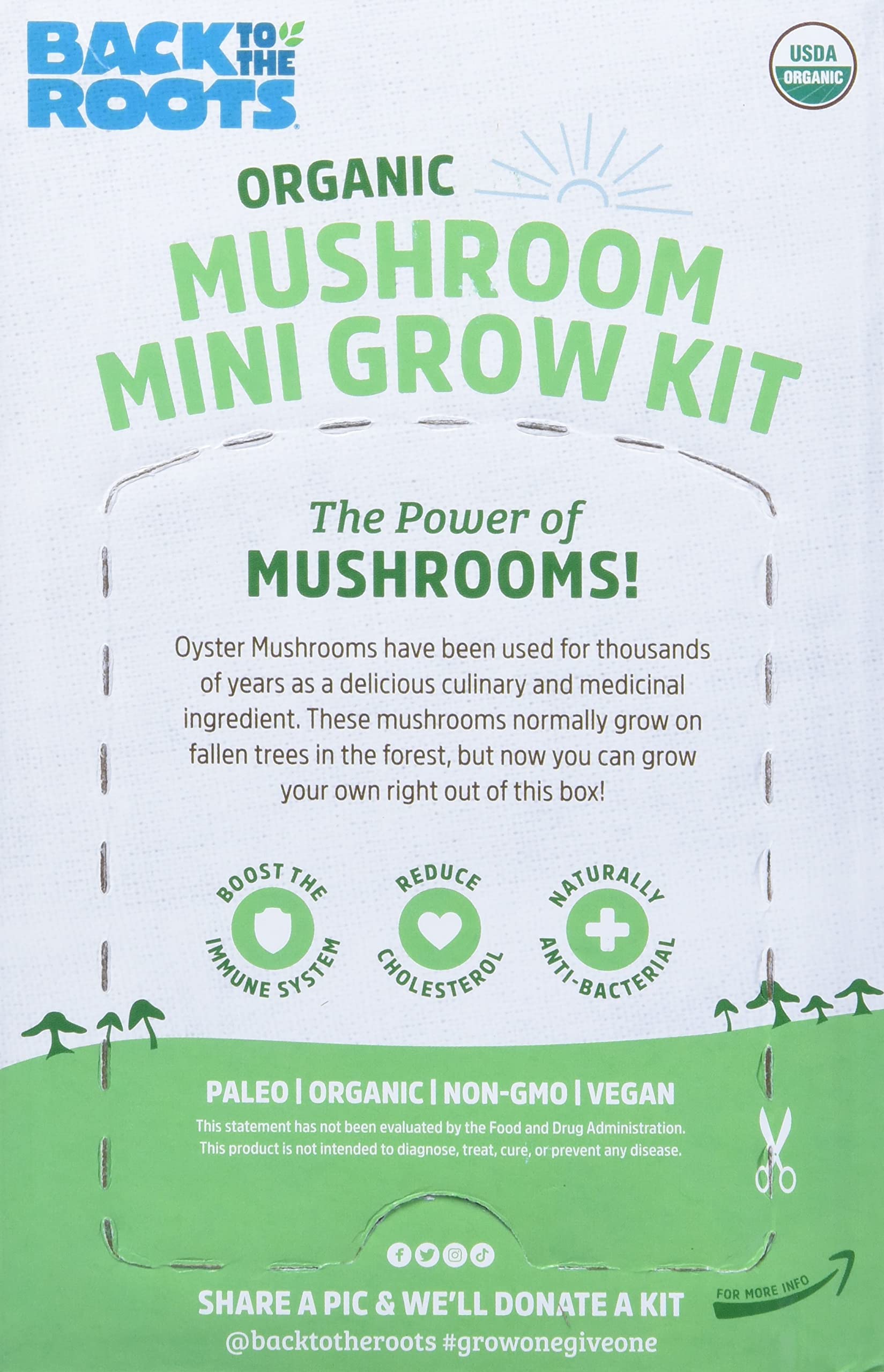 Back to the Roots Organic Mushroom Mini Grow Kit packaging with text and graphics.