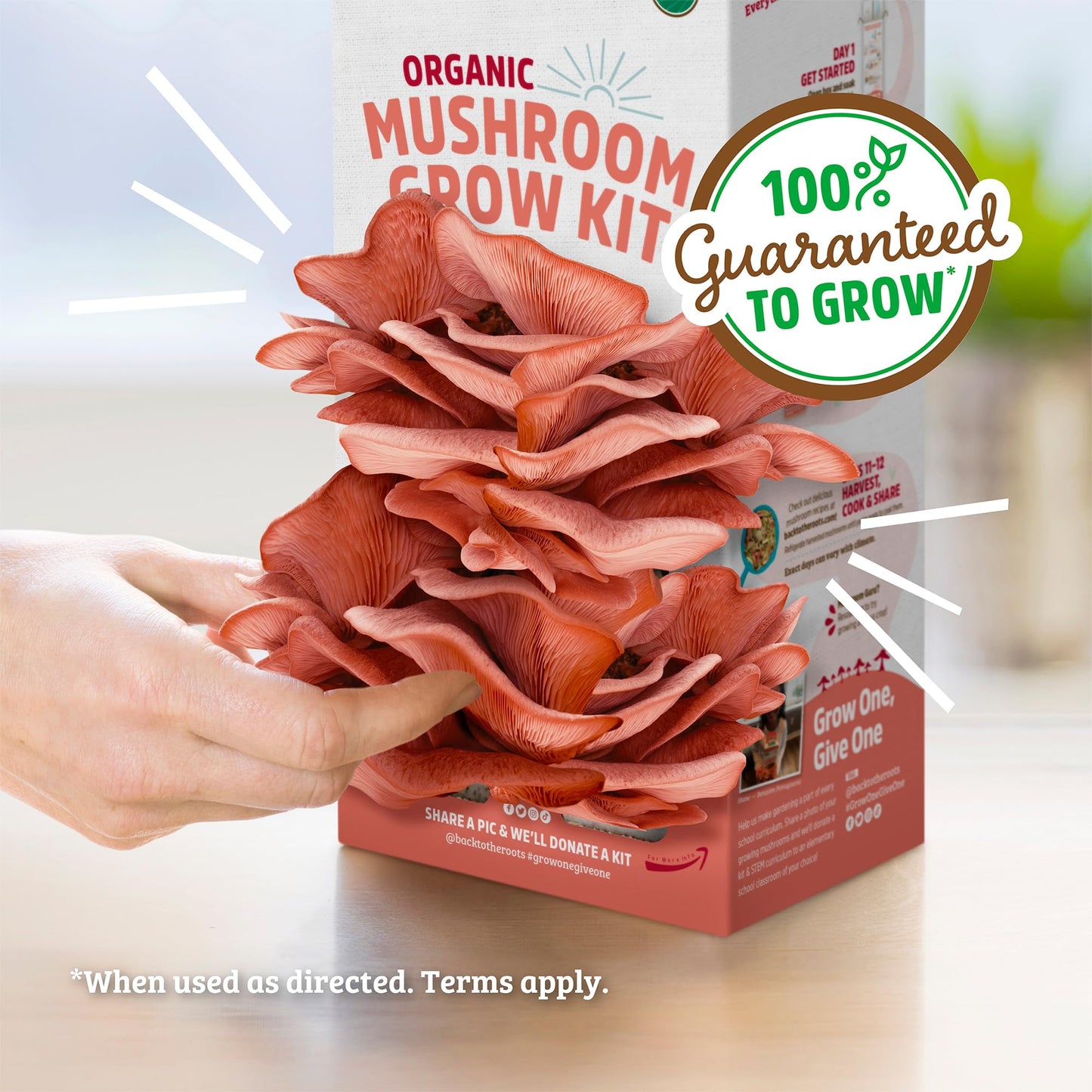 Mushroom grow kit with a hand pointing to it, on a light background