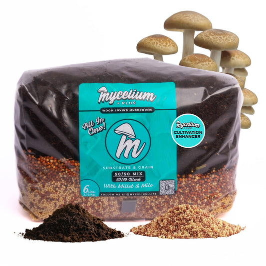 Mycelium Plus substrate mix packaging with mushrooms on a white background