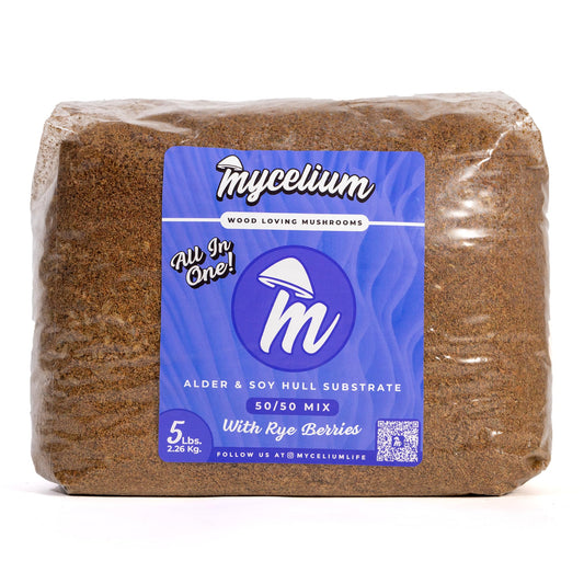 Mycelium product packaging with a blue label on a white background