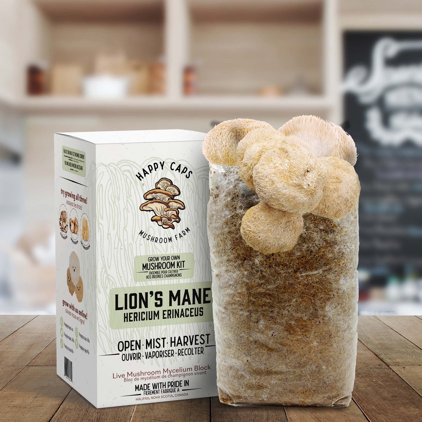 Mushroom kit packaging with lion's mane mushrooms on a wooden surface