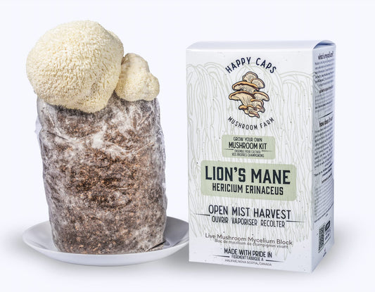 Mushroom kit with packaging labeled 'Happy Caps' on a white background