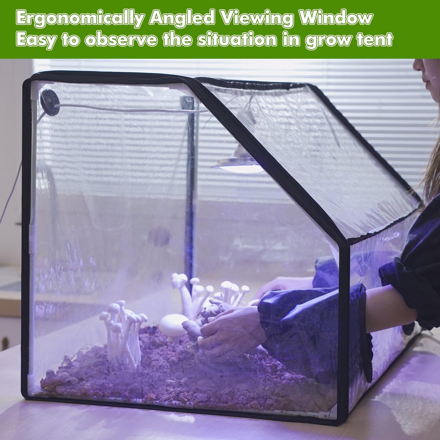 Person tending to plants inside a transparent grow tent with ergonomic viewing window