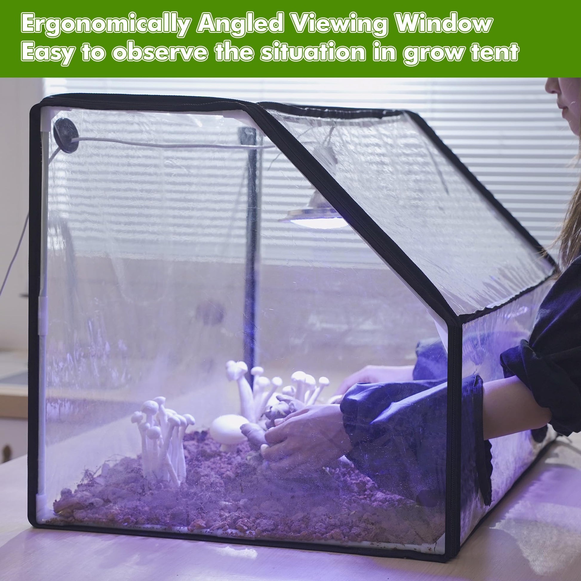 Person tending to plants inside a transparent grow tent with ergonomic viewing window