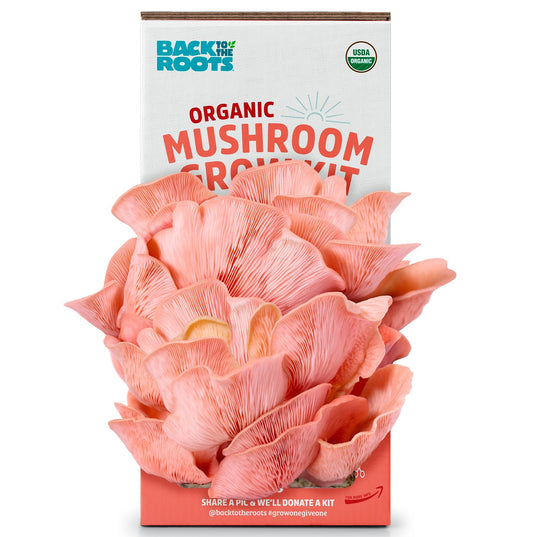 Organic mushroom grow kit packaging with pink mushrooms on a white background