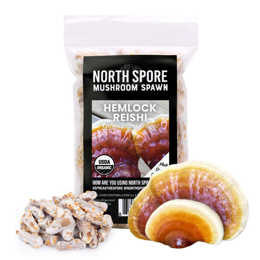 North Spore Mushroom Spawn package with hemlock reishi mushrooms on a white background