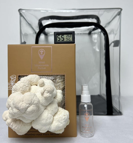 Lion’s Mane Mushroom Grow Bundle