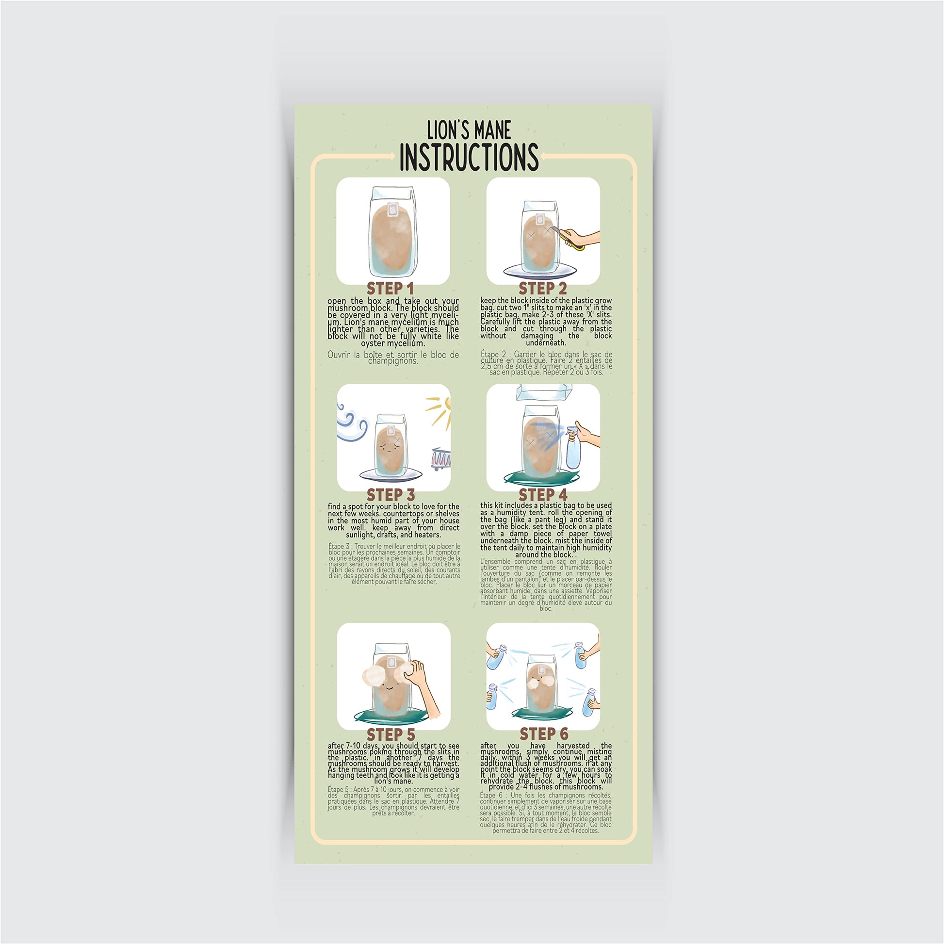 Instructions for using Lion's Mane on a light gray background