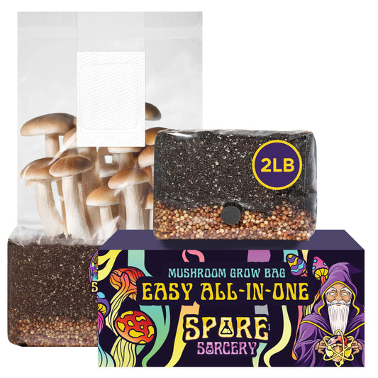 Mushroom grow bag with packaging labeled 'Easy All-In-One Spore Sorcery' on a white background.